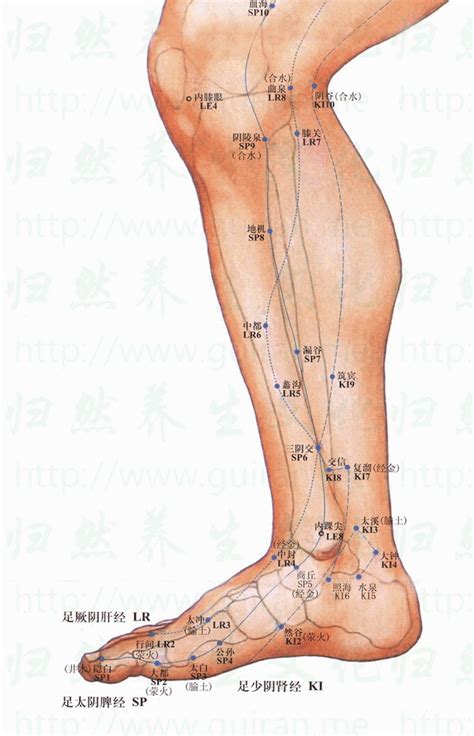 富溜穴|醫砭 » 經穴庫 » 復溜